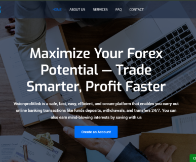 visionprofitlink